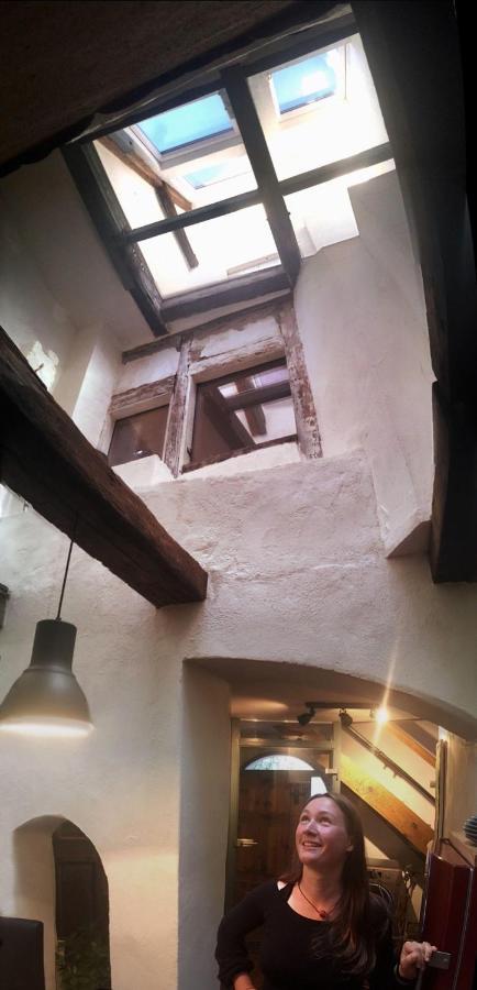 Appartement RenaissanceStuben à Torgau Extérieur photo