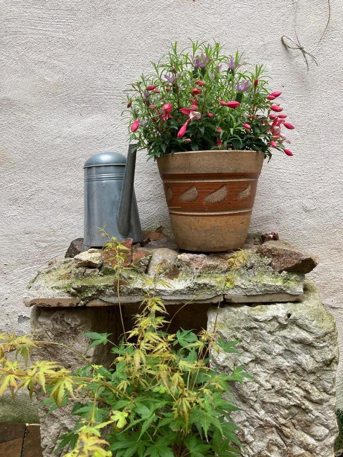 Appartement RenaissanceStuben à Torgau Extérieur photo